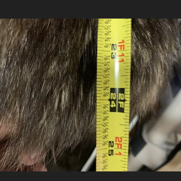 Antonvich Full Length Fur Coat - Picture 5 of 6